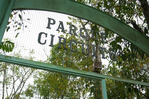 Presença de animais silvestres indica preservação da natureza