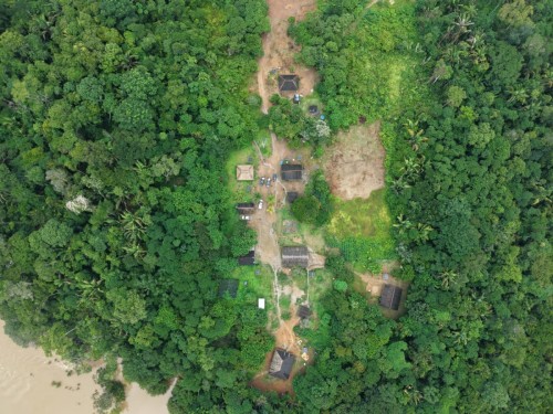 Parceria com povo Karitiana garante sementes para reflorestamento