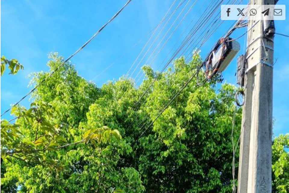 Árvores entre os fios de energia durante o período chuvoso colocam em risco moradores