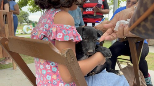 Adoção de cães e gatos é sucesso em feira realizada pela prefeitura
