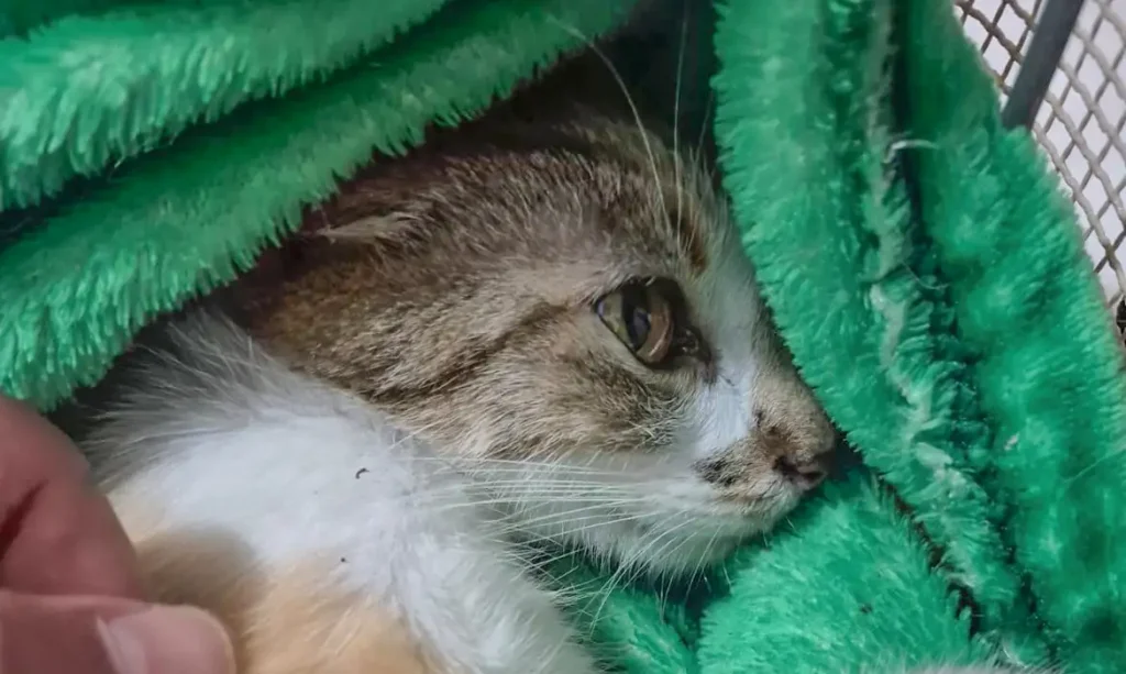 © Polícia Civil do Paraná