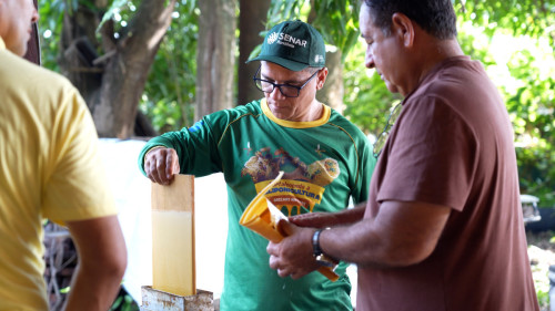 Capacitação fortalece meliponicultura de PVH