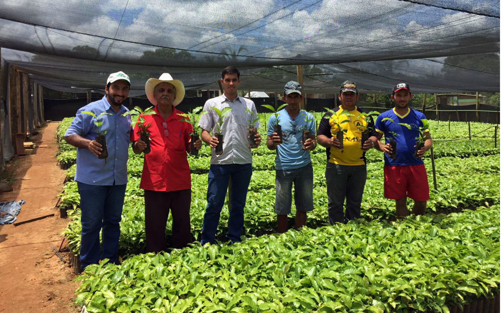 Incentivo do governo de Rondônia impulsiona produção de café e prospera vida no campo