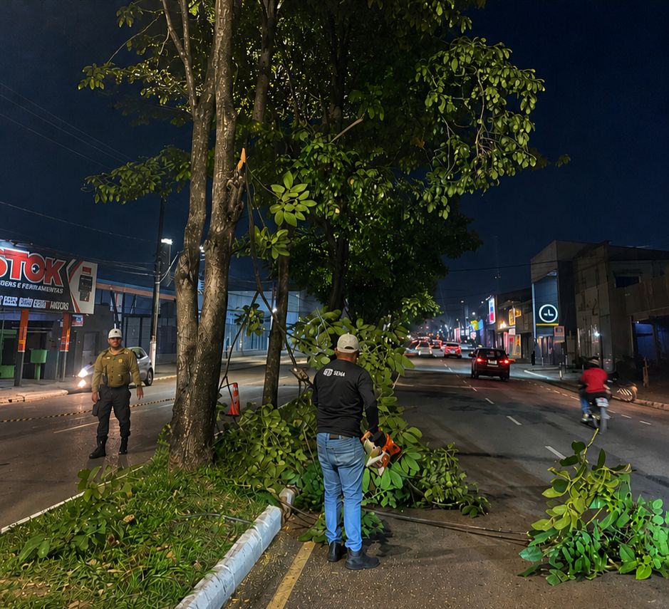 Ação integrada de poda noturna melhora segurança e iluminação nas principais vias da capital