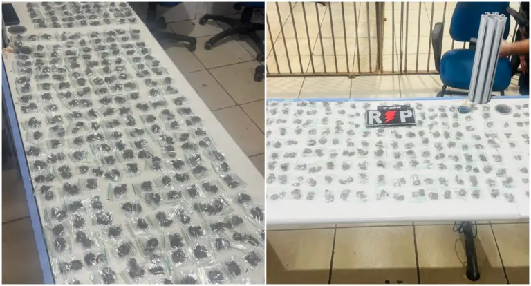 Operação prende suspeito e apreende 480 porções de maconha na zona Leste de Porto Velho