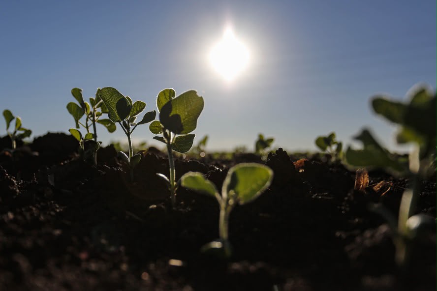 El Niño pode afetar plantio de soja em outubro